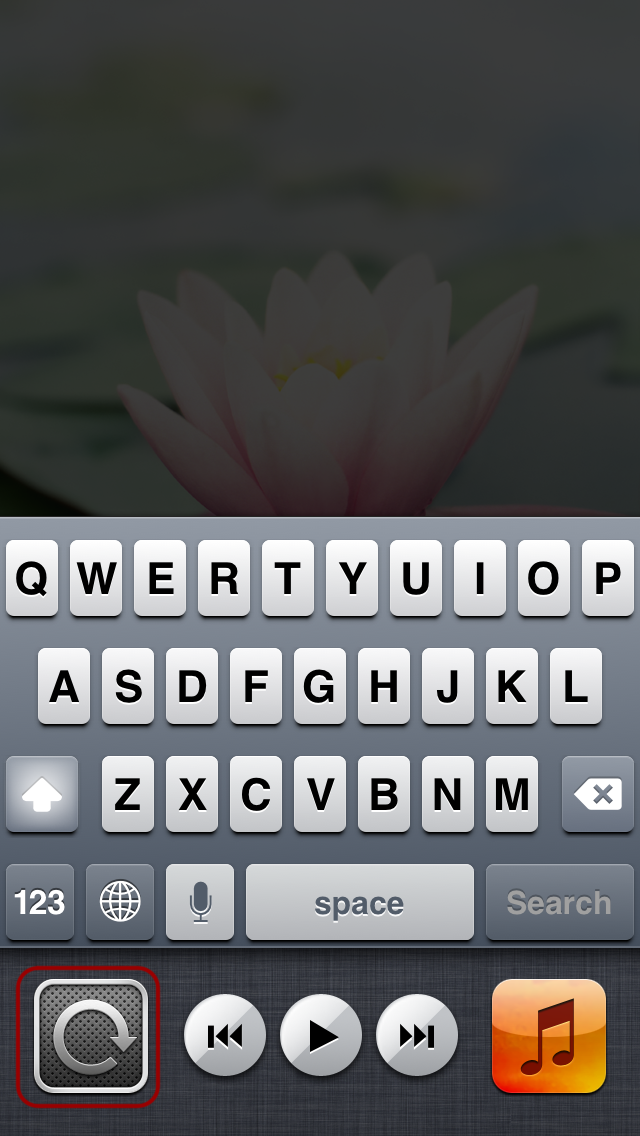 What Is Portrait Orientation Lock Iphone 6 at Jeanne Ford blog